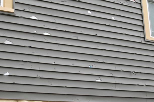 Best Shed Removal  in Okauchee Lake, WI